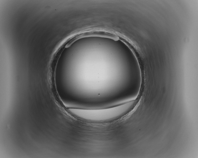 X0000114591502200910191546