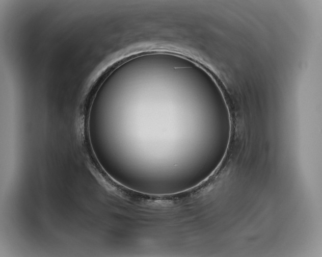 X0000114591503200910191546