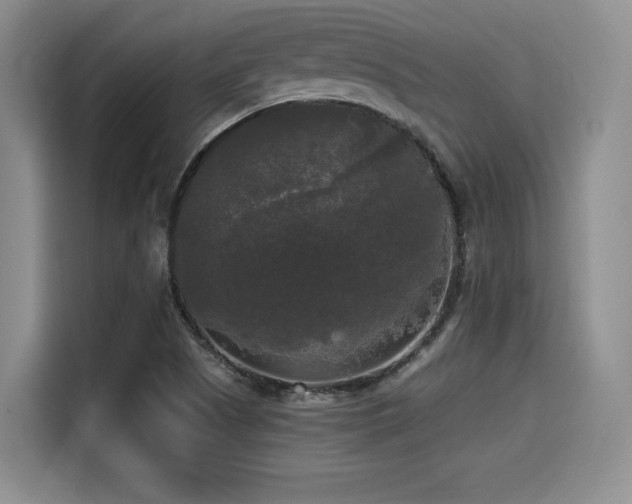 X0000114591505200910191546