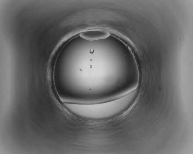 X0000114591506200910191546