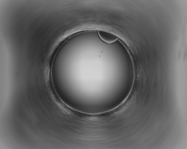 X0000114591507200910191546