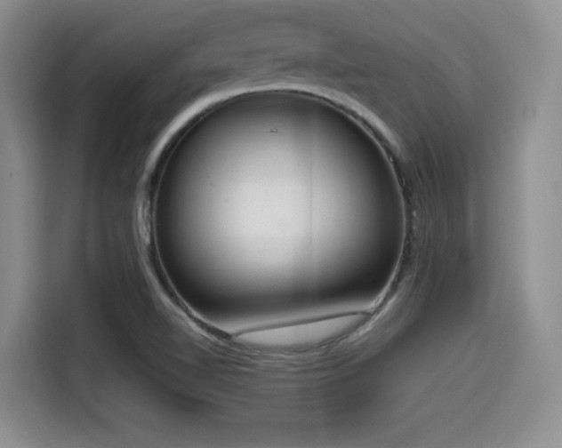 X0000114591510200910191546