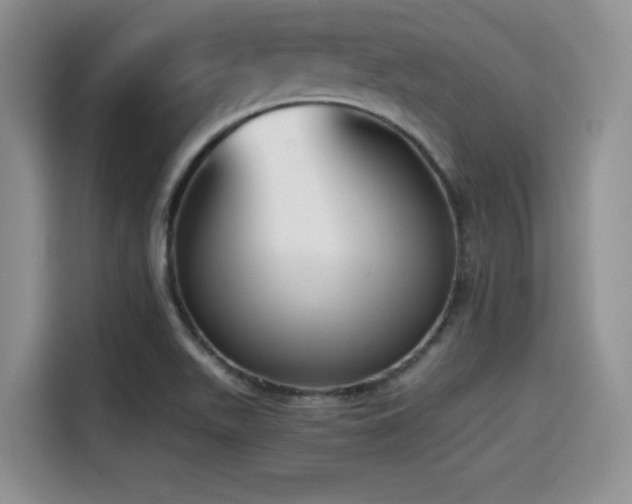 X0000114591511200910191546