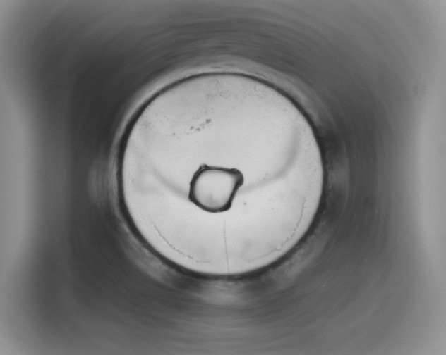 X0000114591514200910191546