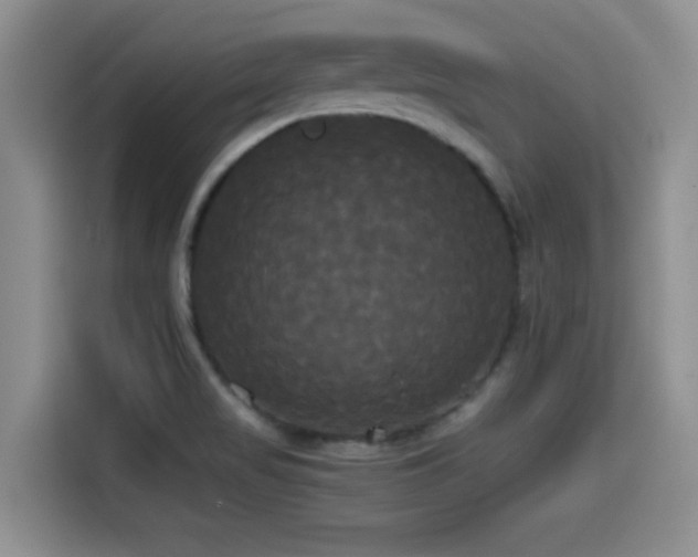 X0000114591517200910191547