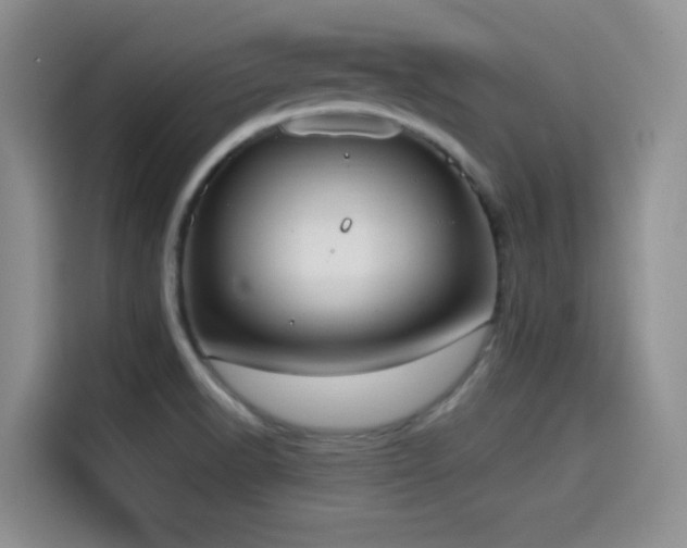 X0000114591518200910191547