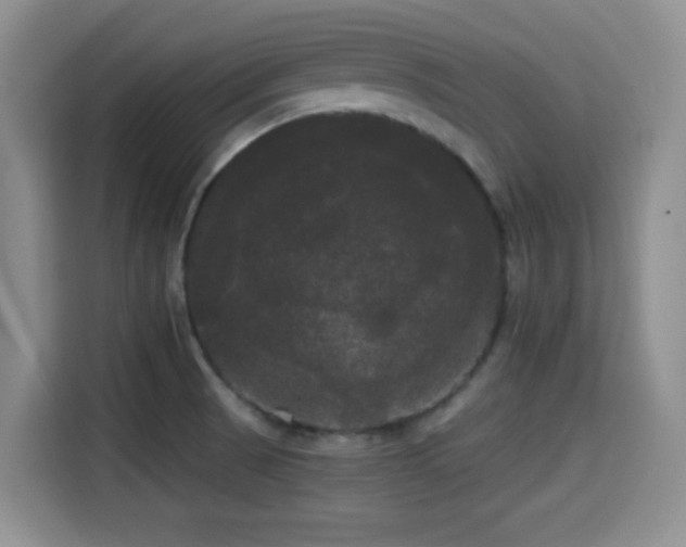 X0000114591521200910191547