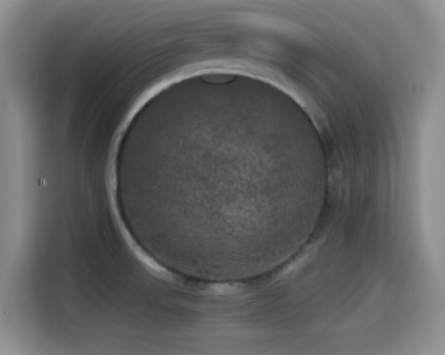 X0000114591523200910191547