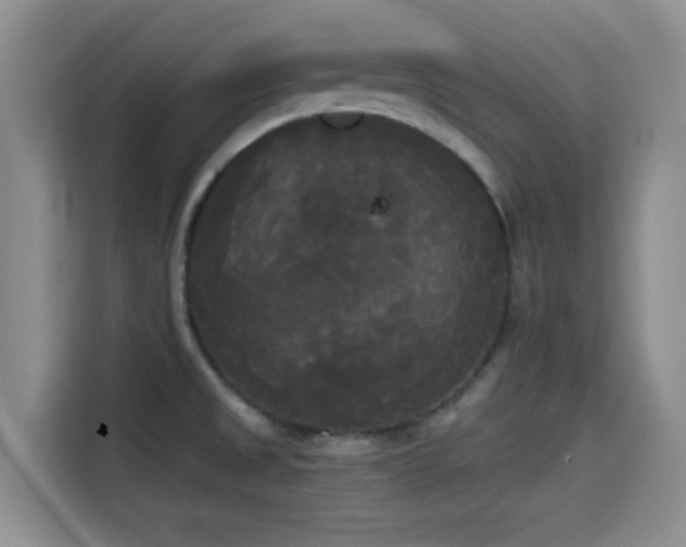 X0000114591525200910191547