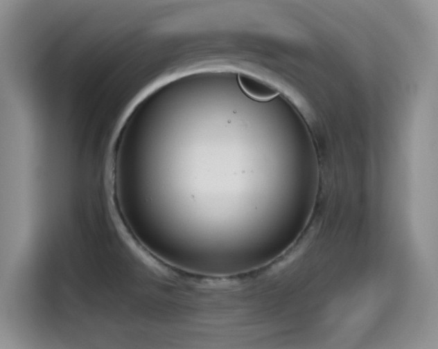 X0000114591526200910191547