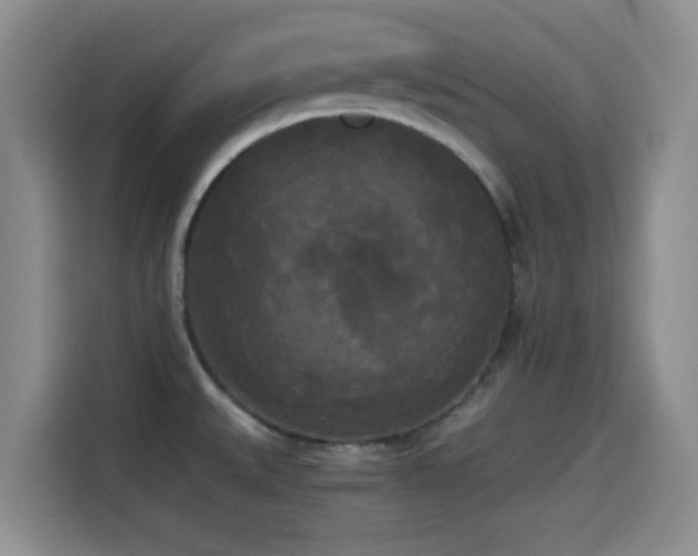 X0000114591527200910191547