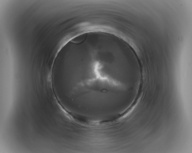 X0000114591529200910191547
