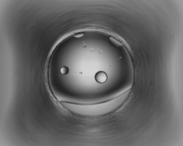 X0000114591530200910191547