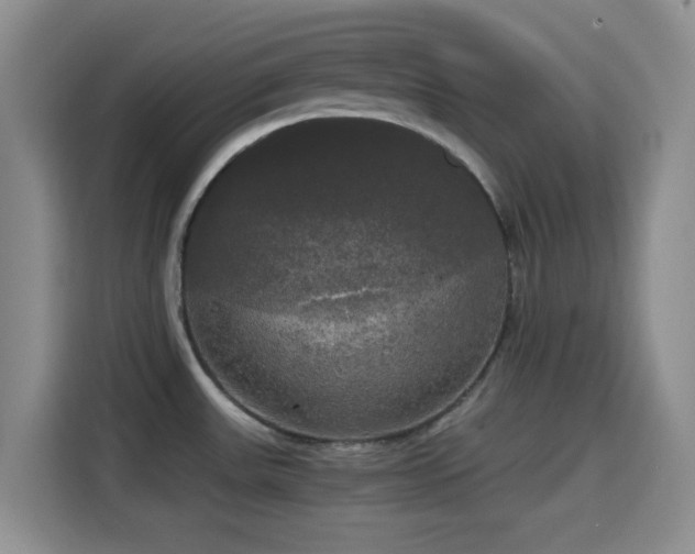 X0000114591531200910191547