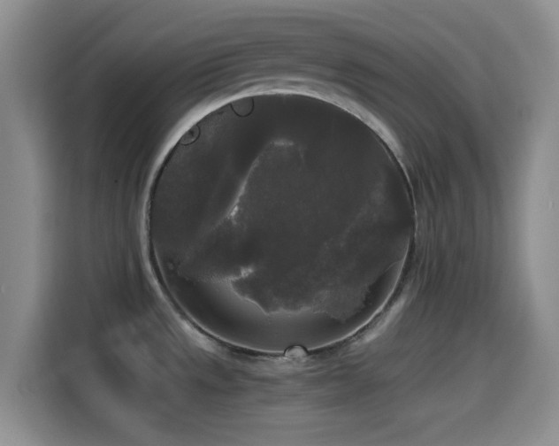 X0000114591533200910191547