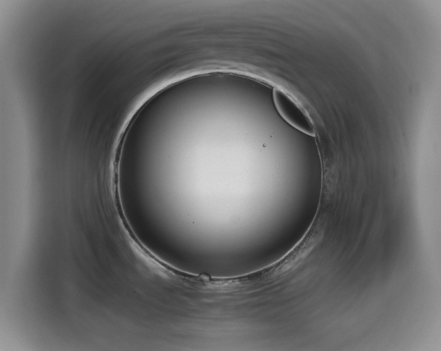 X0000114591535200910191547