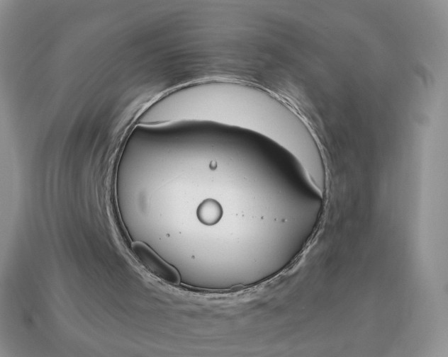 X0000114590001200911091306