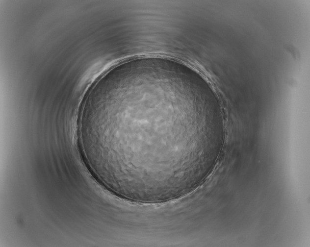 X0000114590002200911091306