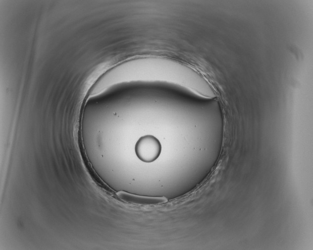 X0000114590003200911091306