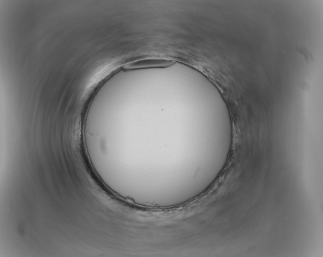 X0000114590005200911091306