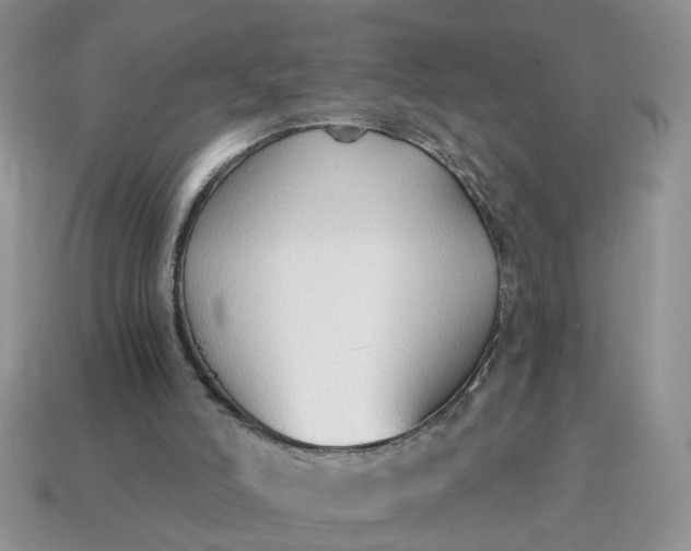 X0000114590006200911091306