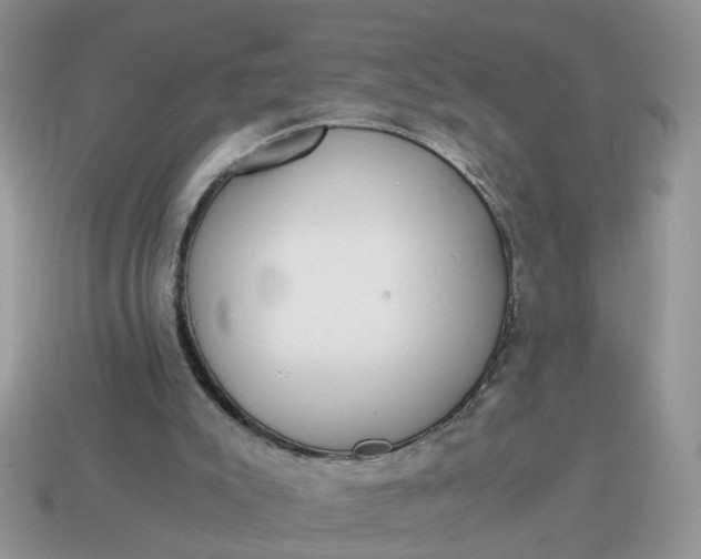 X0000114590007200911091306