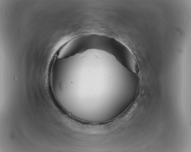 X0000114590008200911091306