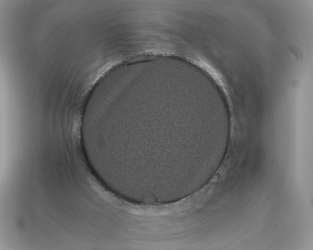 X0000114590009200911091306