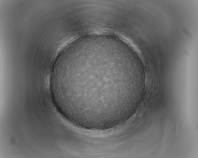 X0000114590010200911091306