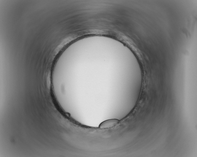 X0000114590011200911091306