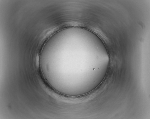 X0000114590014200911091306