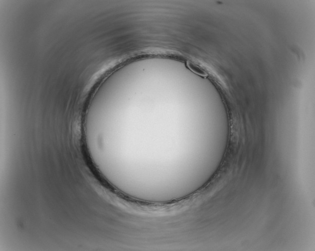 X0000114590015200911091306