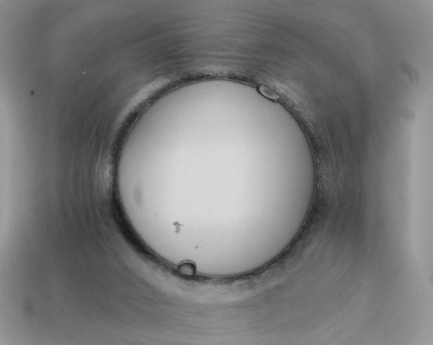 X0000114590016200911091306