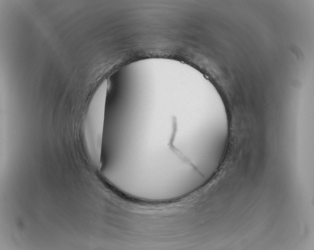 X0000114590017200911091306