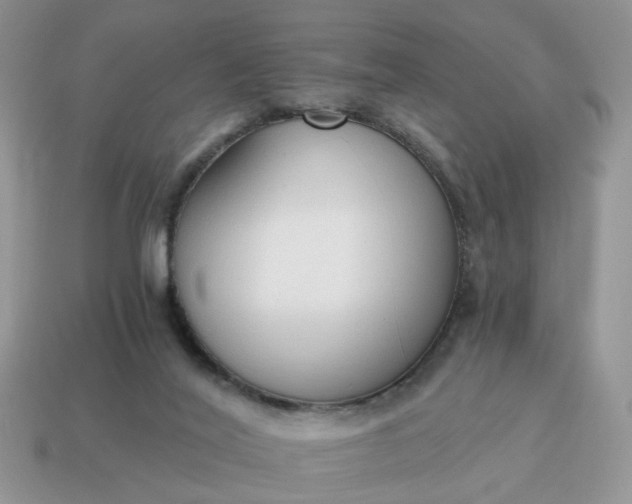 X0000114590020200911091306