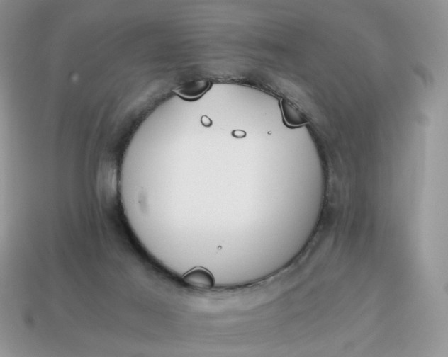 X0000114590021200911091306