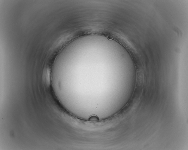 X0000114590022200911091306