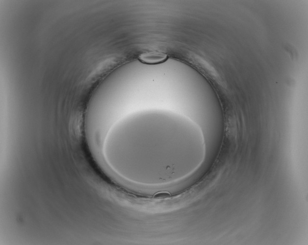 X0000114590023200911091306