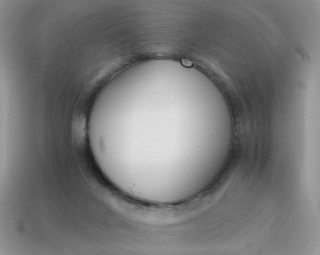 X0000114590024200911091306