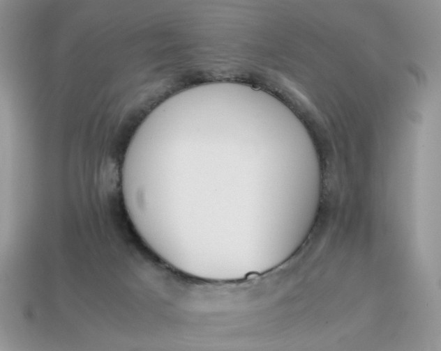 X0000114590025200911091306