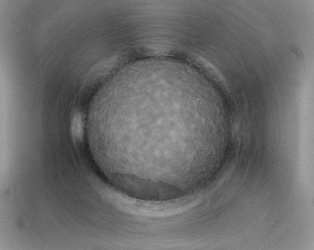 X0000114590026200911091306