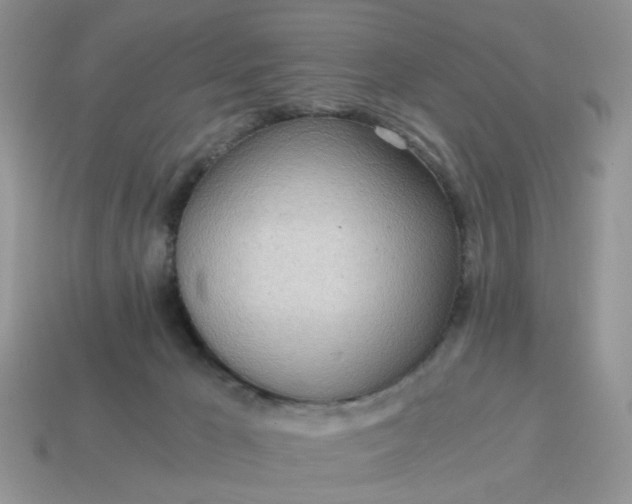 X0000114590029200911091306