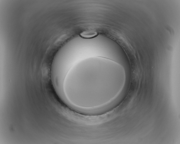 X0000114590031200911091306