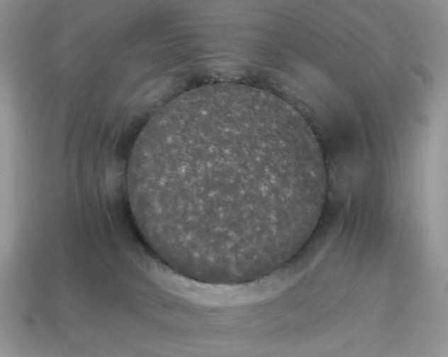 X0000114590034200911091306