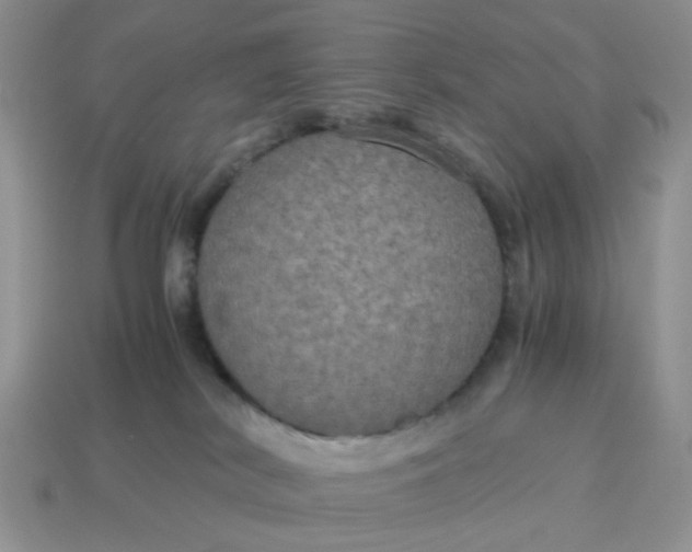 X0000114590038200911091306