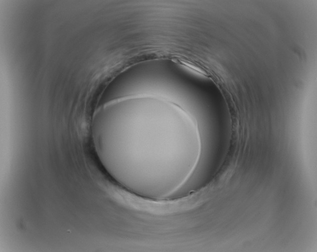 X0000114590039200911091305