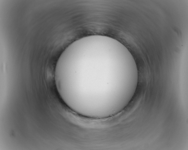 X0000114590040200911091305