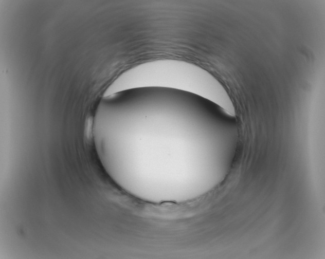 X0000114590041200911091305