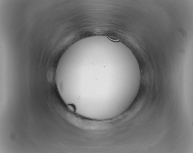 X0000114590044200911091305