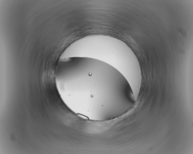 X0000114590045200911091305